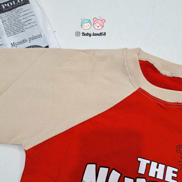 آستین بلوز بچگانه پسرانه ۴ تا ۹ سال مدل رگلان